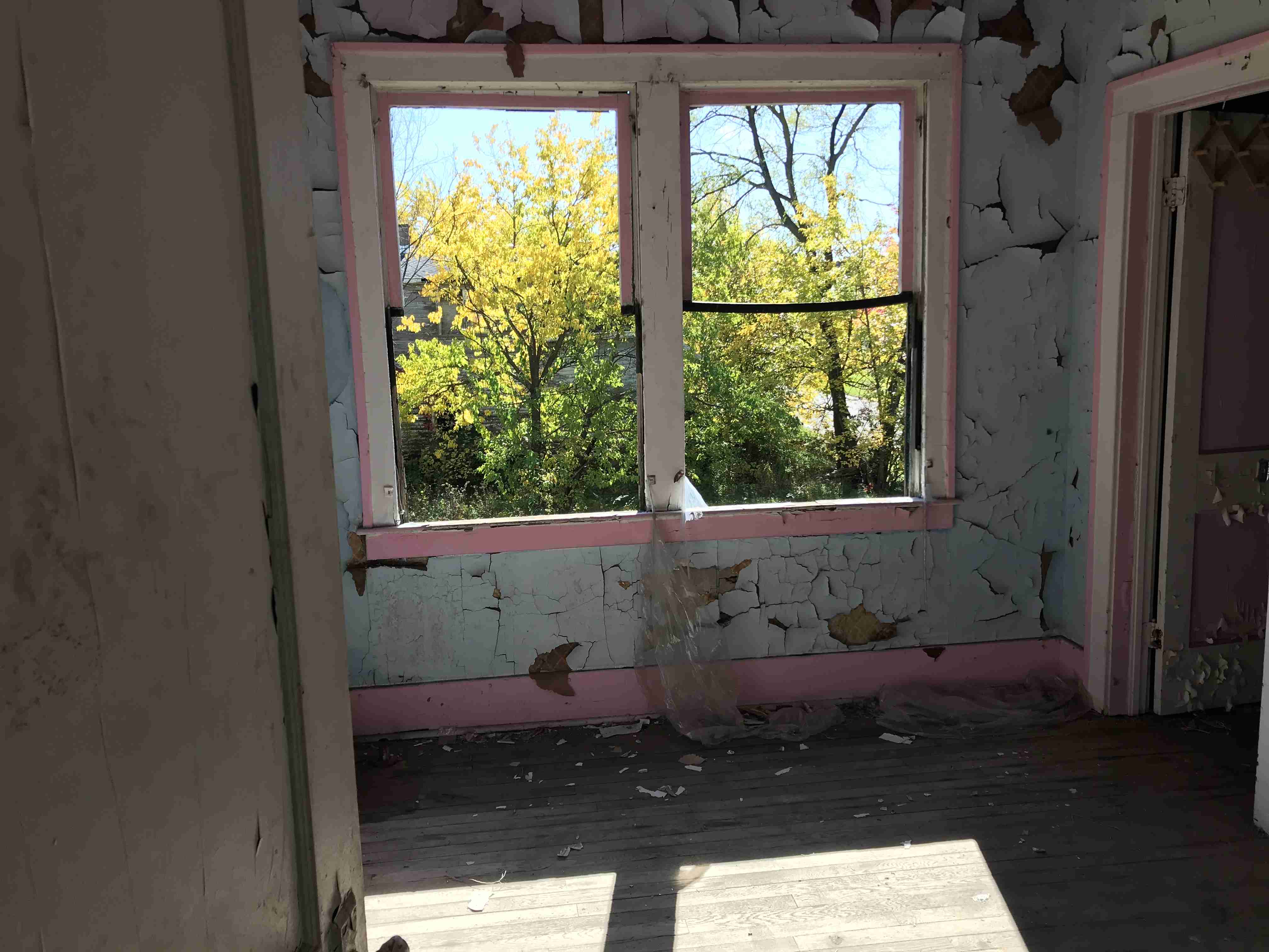 Photo Oct 13, 12 33 36 PM (1).jpg